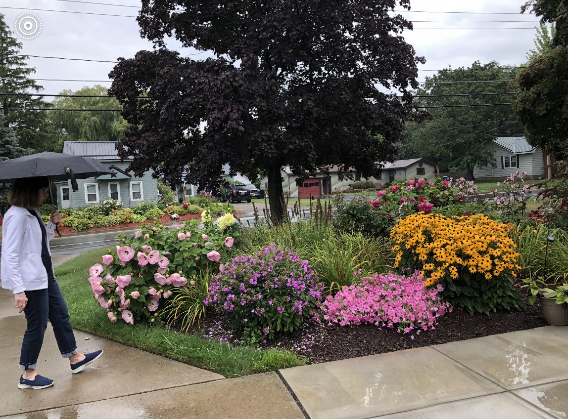 Bud ‘n Bloom visits organic gardens News, Sports, Jobs Observer Today